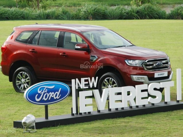 Cần bán Ford Everest 2.2L 4x2 Titanium AT đời 2016, nhập khẩu