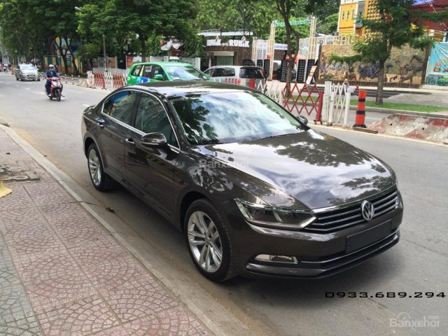 Volkswagen Passat GP màu nâu sang trọng - Ưu đãi lớn LH Quang Long 0933689294