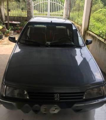 Bán ô tô Peugeot 405 đời 1994, màu xám, nhập khẩu