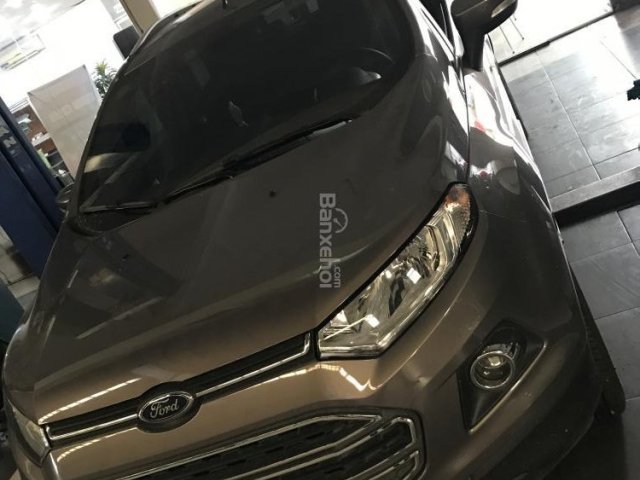 Cần bán xe Ford EcoSport Titanium 1.5P AT đời 2016, màu nâu