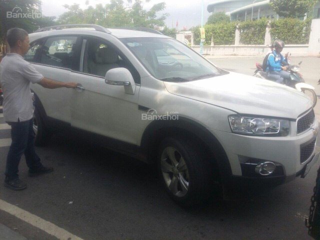 Bán xe Chevrolet Captiva đời 2013, màu trắng số tự động