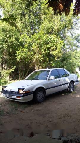 Cần bán xe Honda Accord năm 1986, màu trắng, giá tốt