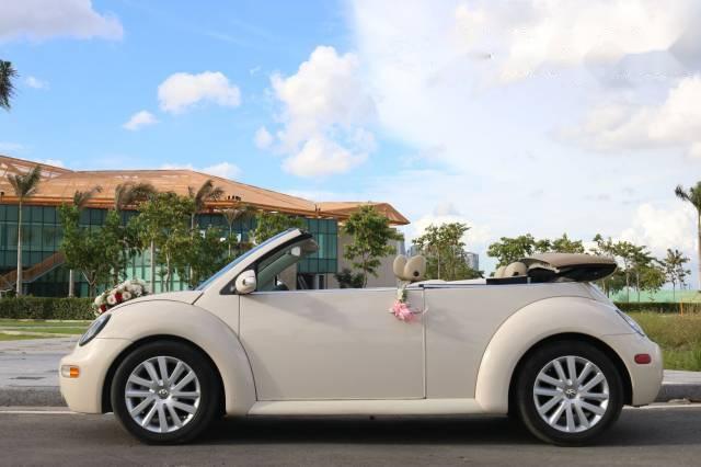 Cần bán Volkswagen Beetle đời 2007, màu trắng