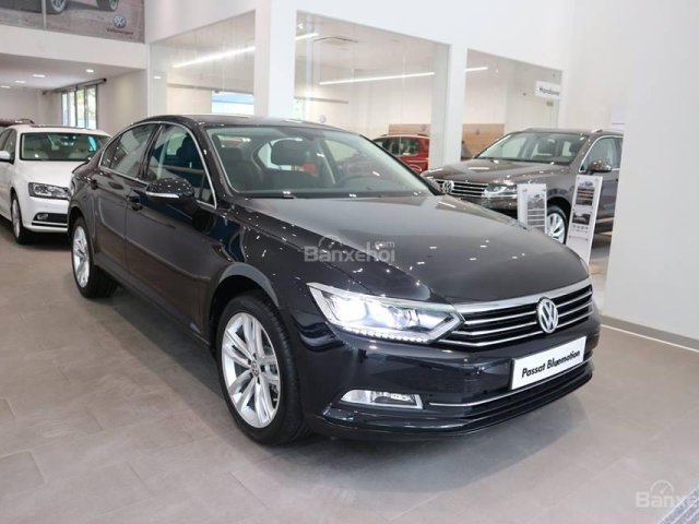 Bán Passat Bluemotion Volkswagen màu nâu - Giá cực kỳ ưu đãi - LH Quang Long 0933689294