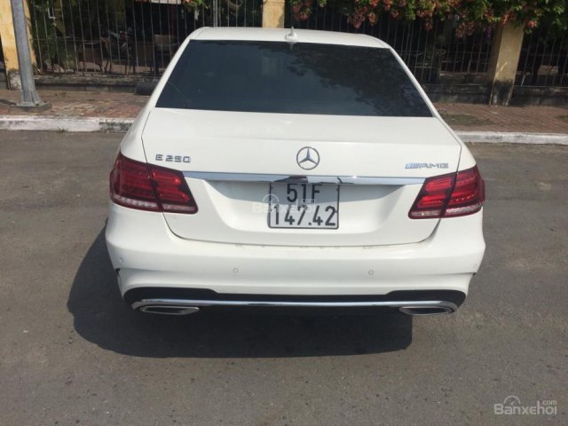 Cần bán xe Mercedes E250 năm 2015, màu trắng, xe gia đình ít đi