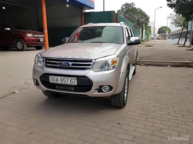 Chợ xe 68 bán xe Ford Everest 2.5 MT đời 2015, màu ghi hồng