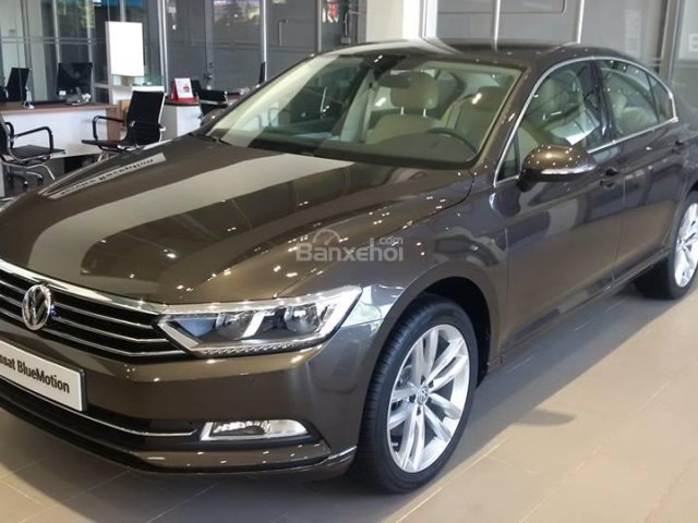 Bán Volkswagen Passat Bluemotion 2017, màu nâu, nhập khẩu chính hãng LH 0933.365.188