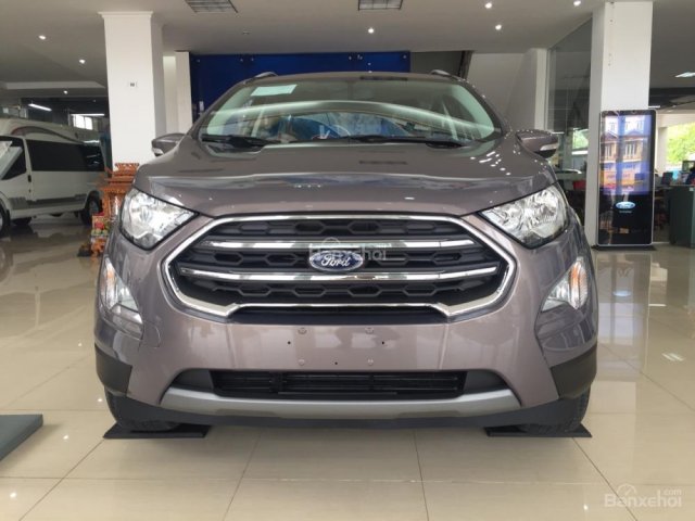 Ford Ecosport phiên bản Titanium 1.5L 2018, màu nâu phổ phách, hỗ trợ trả góp 90%, giao xe ngay