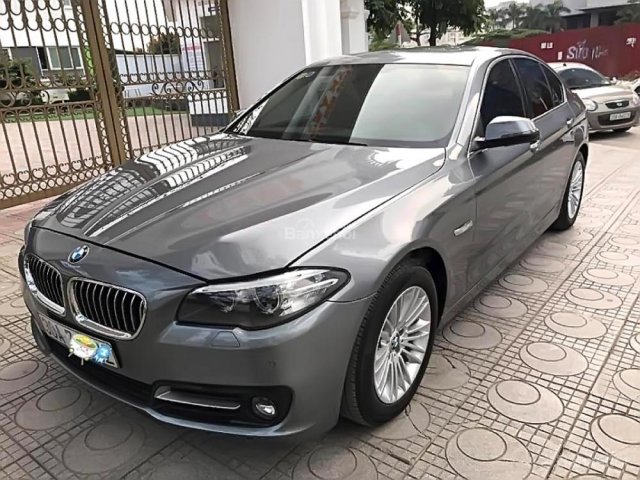 Bán xe BMW 5 Series 520i sản xuất 2015, màu xám, xe nhập