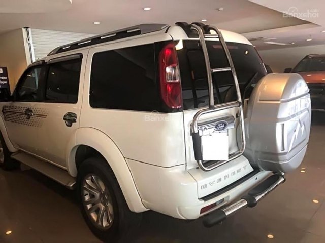 Cần bán lại xe Ford Everest năm 2015, màu trắng