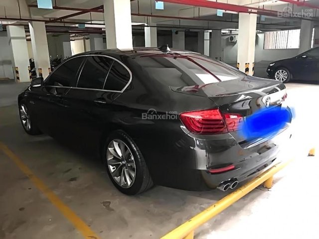 Cần bán BMW 5 Series 520i đời 2014, màu nâu, nhập khẩu