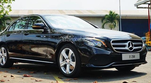 Bán xe Mercedes E250 màu đen giá tốt, giao xe ngay