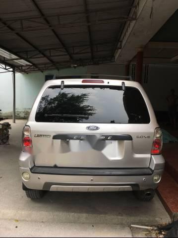 Cần bán lại xe Ford Escape 2008