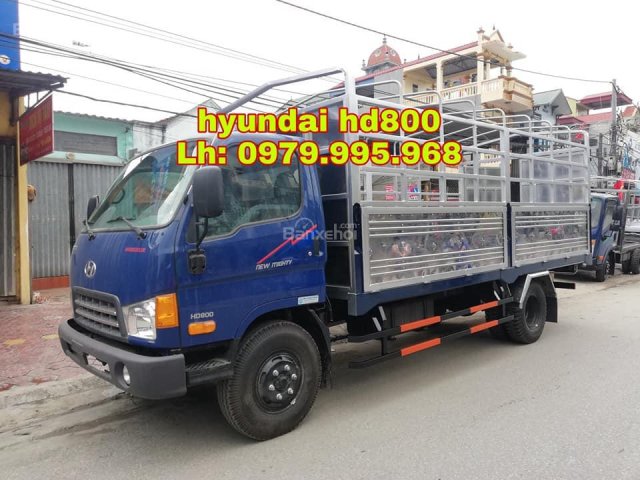 Đại lý bán xe Hyundai HD800 rẻ nhất toàn quốc. LH 0979 995 968