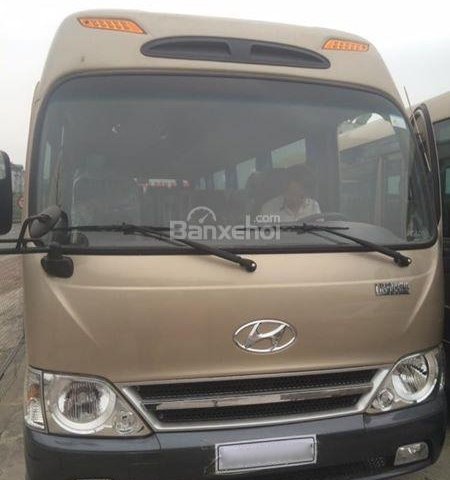 Bán xe Hyundai County Tracomeco Limousine