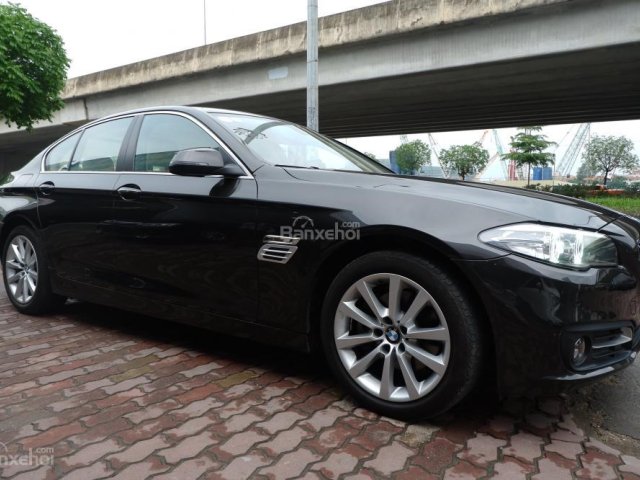 Cần bán xe BMW 5 Series 520i 2017, màu đen nâu, xe nhập