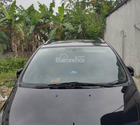 Bán Mitsubishi Grandis 2.4 đời 2006, màu đen, giá 310tr