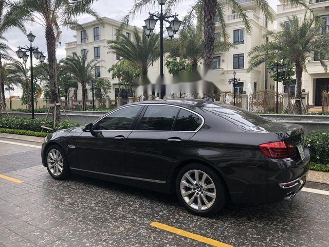 Bán xe BMW 520i đời 6/2016 chạy 16780km 