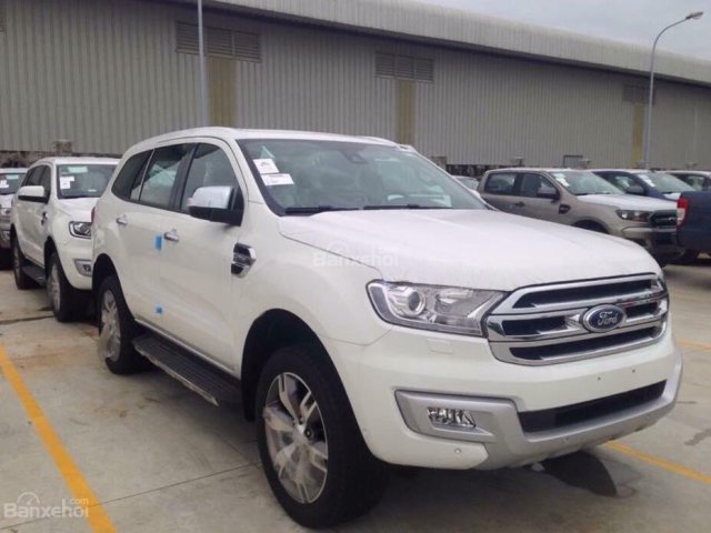 Nhận cọc xe Ford Everest 2018 đủ màu xem xe tại Phú Thọ, LH 0978212288