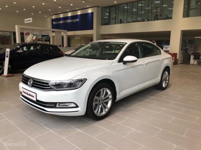 Volkswagen Passat Bluemotion đời 2018, xe nhập khẩu giao ngay - Hotline: 012.3344.6666