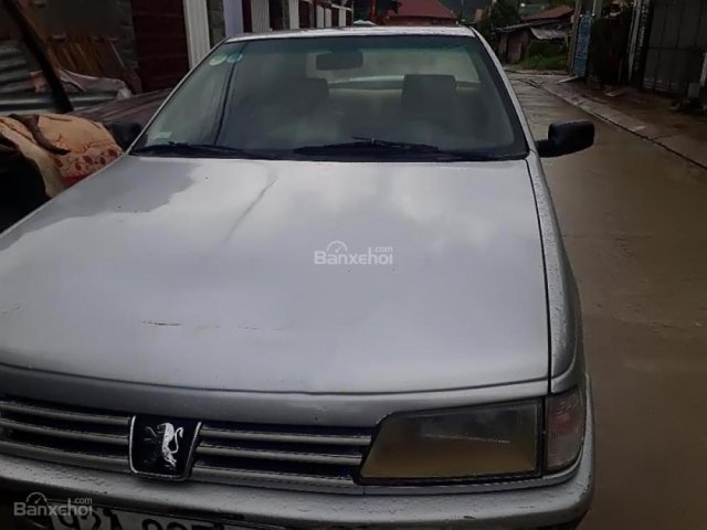 Cần bán Peugeot 405 2.0 MT năm 1993, màu bạc 