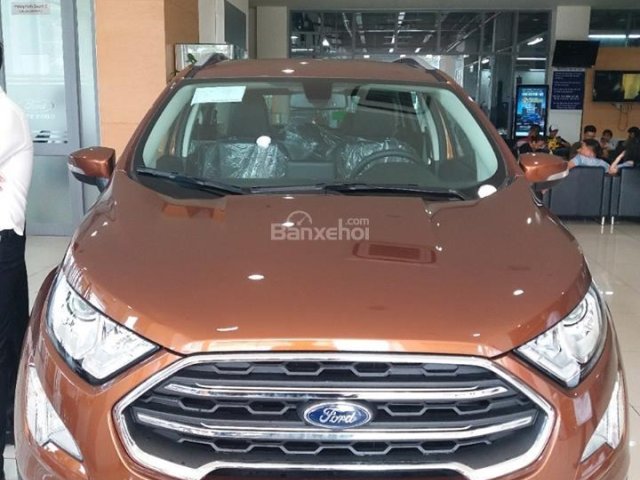 Bán Ecosport 1.0 Ecoboost giá tốt chạy số tháng ngâu cho khách hàng Bắc Giang, LH 0941921742