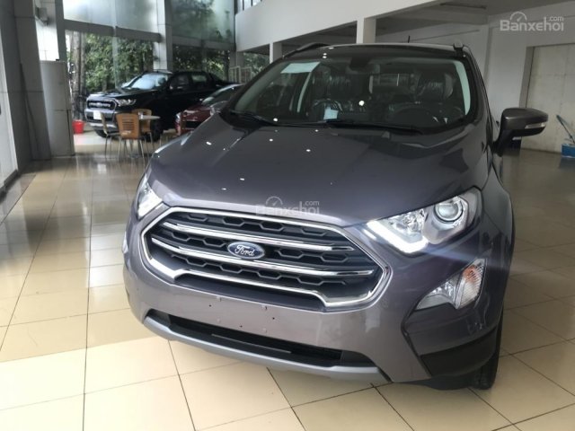 Bán Ford EcoSport, động cơ 1.0L EcoSport sản xuất năm 2018, màu nâu