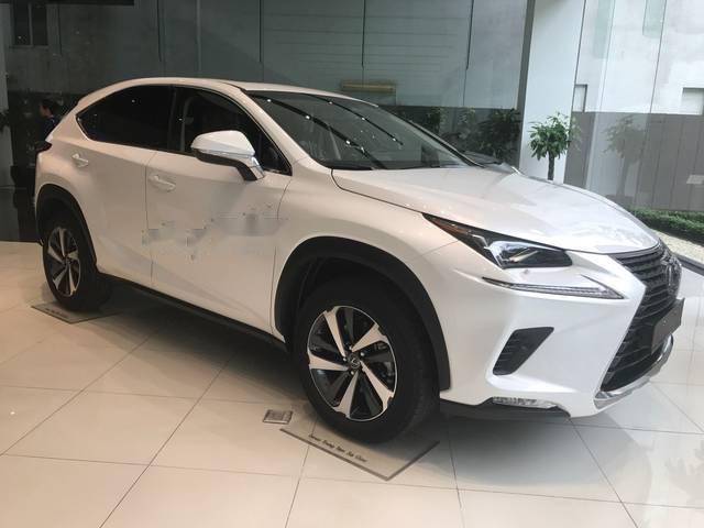 Cần bán xe Lexus NX 300 đời 2018, màu trắng, xe nhập