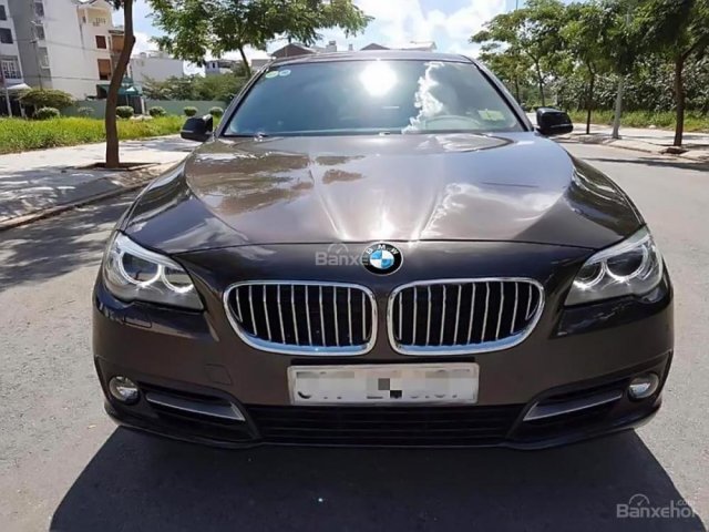 Cần bán BMW 5 Series 520i năm 2015, màu nâu, xe nhập