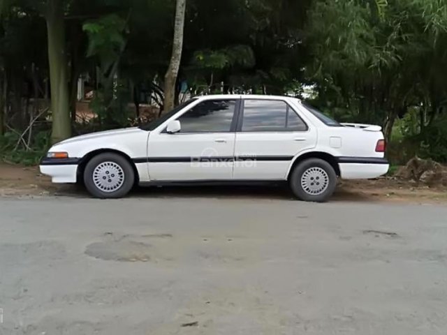 Bán Honda Accord sản xuất năm 1986, màu trắng, nhập khẩu 