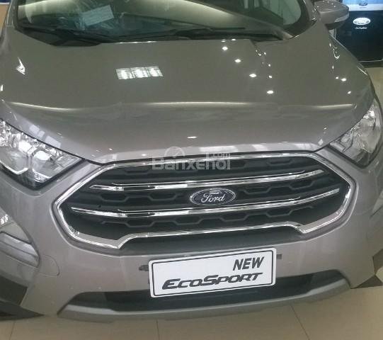 Cần bán Ford EcoSport đời 2018, màu bạc, giá ưu đãi LH 0933906119