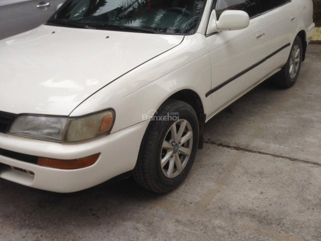 Cần bán xe Toyota Corolla 1.6GL đời 1996, màu trắng, nhập khẩu nguyên chiếc, giá tốt