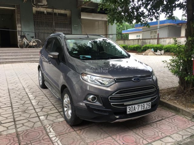 Bán xe gia đình Ford EcoSport Titanium đời 2015, màu xám (ghi)