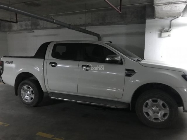 Bán xe Ford Ranger XLT 2016, màu trắng