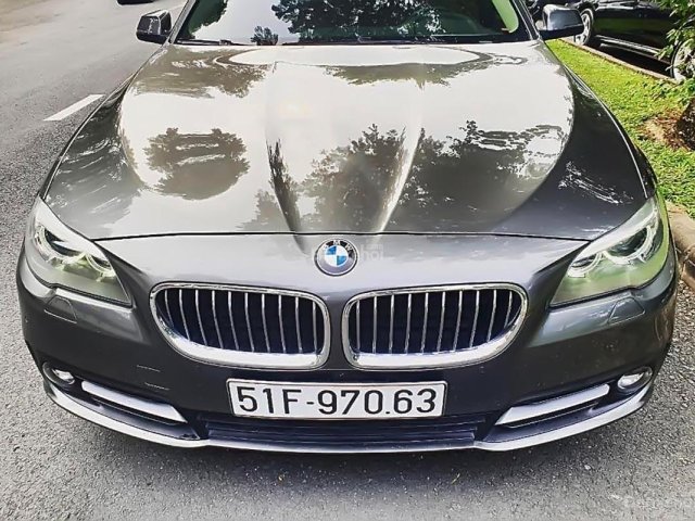 Bán BMW 5 Series 520i 2014, màu nâu, nhập khẩu