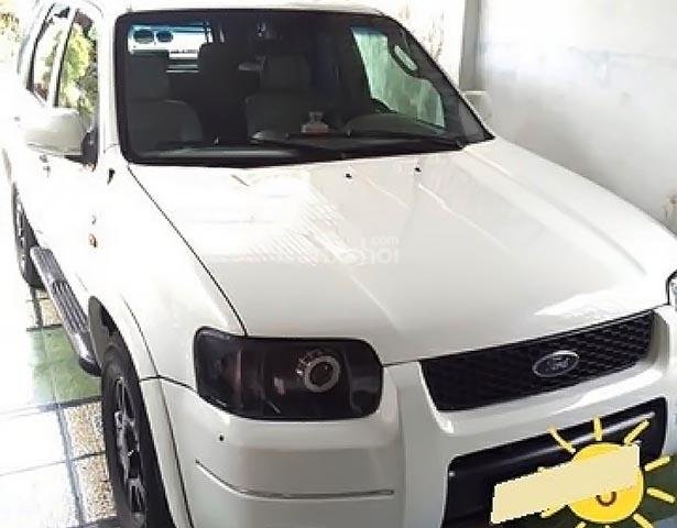 Bán xe cũ Ford Escape 2.3 AT 2006, màu trắng  