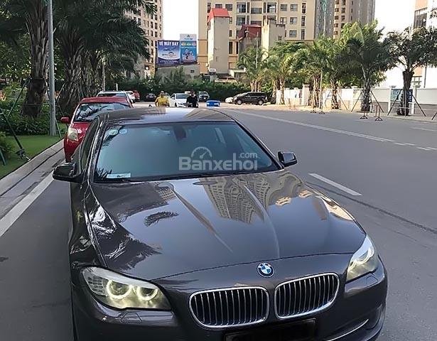 Cần bán lại xe BMW 5 Series 2.5 đời 2010, màu nâu, xe nhập  