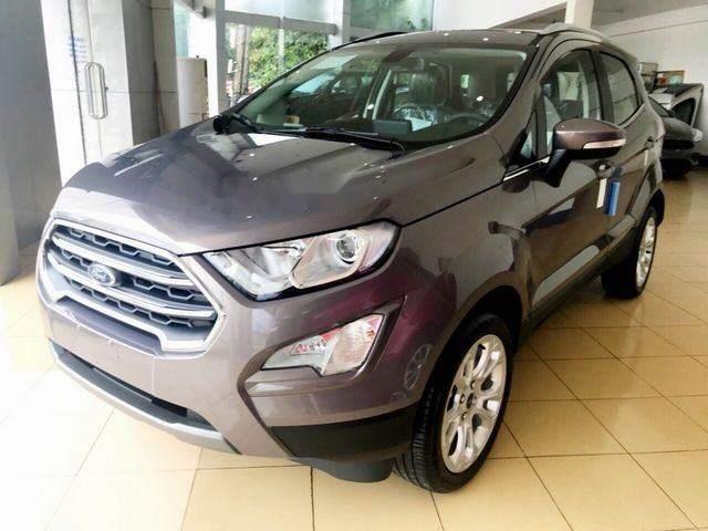 Cần bán Ford EcoSport đời 2018, màu xám