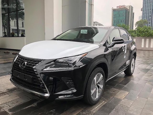 Bán Lexus NX 300 năm sản xuất 2018, màu đen, xe nhập