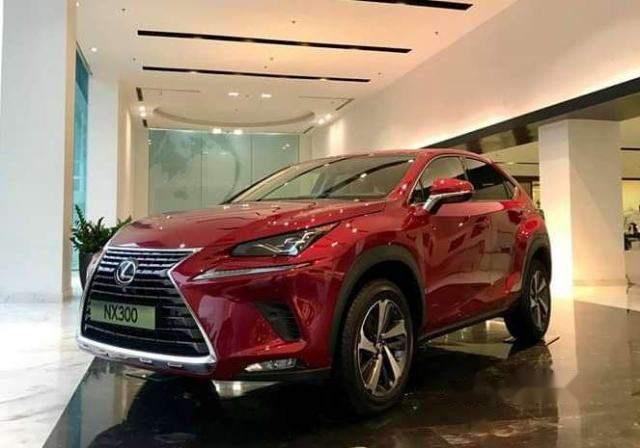 Bán Lexus NX 300 sản xuất năm 2019, màu đỏ, nhập khẩu