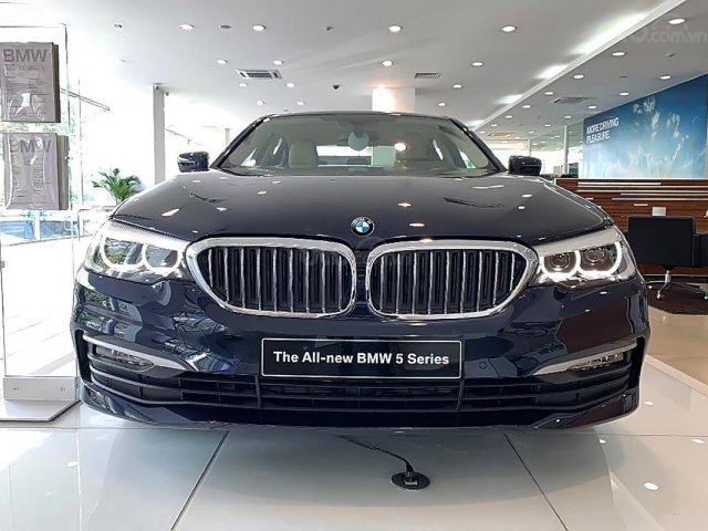 Bán ô tô BMW 5 Series 520i năm 2019, màu xanh lam, nhập khẩu