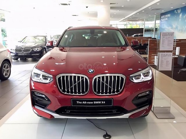 Bán BMW X4 Xdrive 20i 2019, màu đỏ, xe nhập