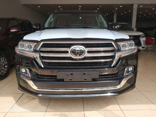 Bán Toyota Land Cruiser MBS 4 ghế VIP 2019, màu đen, nhập khẩu mới 100%