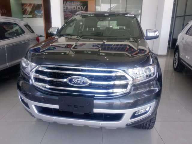 Bán xe Ford Everest Titanium đời 2019, màu xám (ghi), xe nhập khẩu