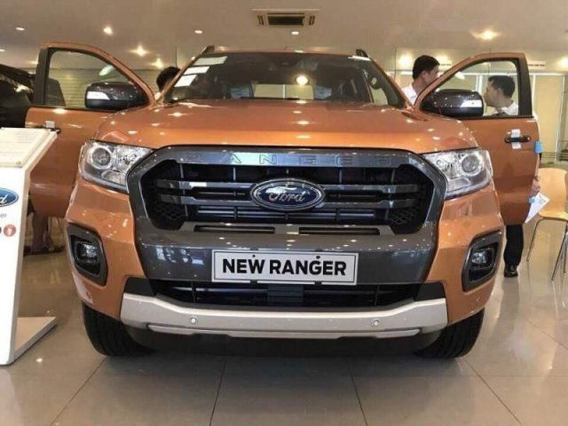 Cần bán xe Ford Ranger Wildtrak 2.0 Biturbo năm 2019, nhập khẩu