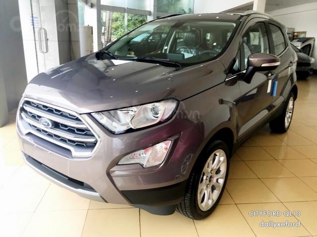 Bán ô tô Ford EcoSport 1.0 Ecoboost, giảm tiền tươi, tặng BHVC, đời 2019, màu xám, nâu