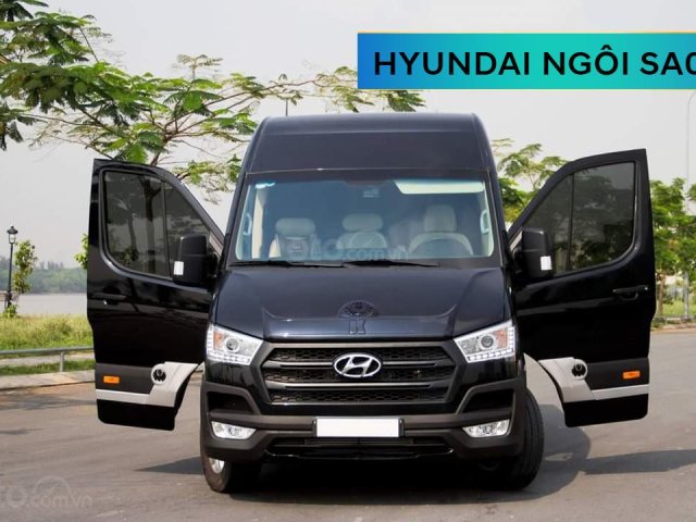 Cần bán xe Hyundai Solati Limousine năm 2019, màu đen0