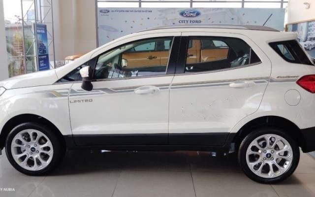 Bán ô tô Ford EcoSport đời 2019, màu trắng, nhập khẩu nguyên chiếc, 520 triệu