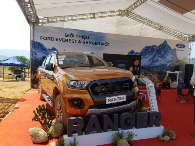 Cần bán xe Ford Ranger Wildtrak năm 2019, nhập khẩu nguyên chiếc, 853 triệu