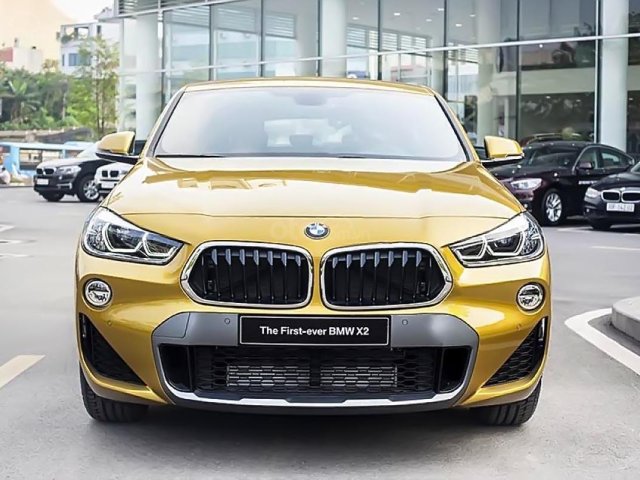 Bán xe BMW X2 sDrive20i đời 2018, màu vàng, xe nhập0